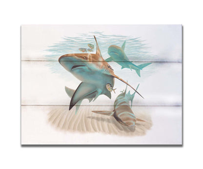 A painting of three sandbar sharks swimming in the shallows, alongside various fish. The soft background fades into a white backdrop, isolating the portraits. Printed on a box board.