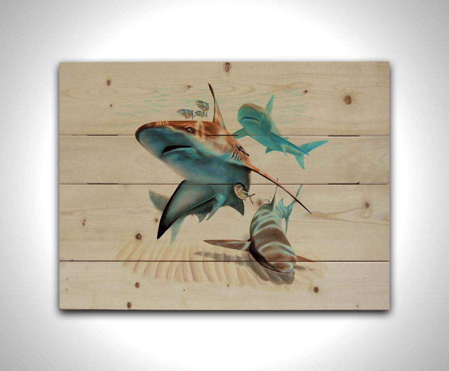 A painting of three sandbar sharks swimming in the shallows, alongside various fish. The soft background fades into a white backdrop, isolating the portraits. Printed on a wood pallet.