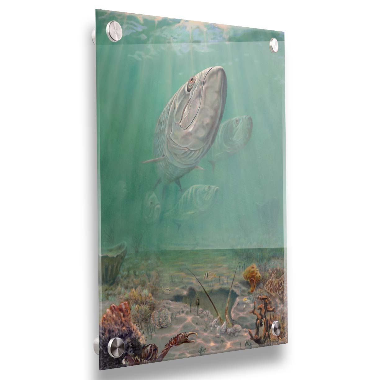 A painting of a school of tarpon swimming above a lively sea floor filled with pufferfish, crabs, lobsters, and rockfish. Beams of light penetrate the water's surface, giving the scene a dreamlike quality. Printed on acrylic.