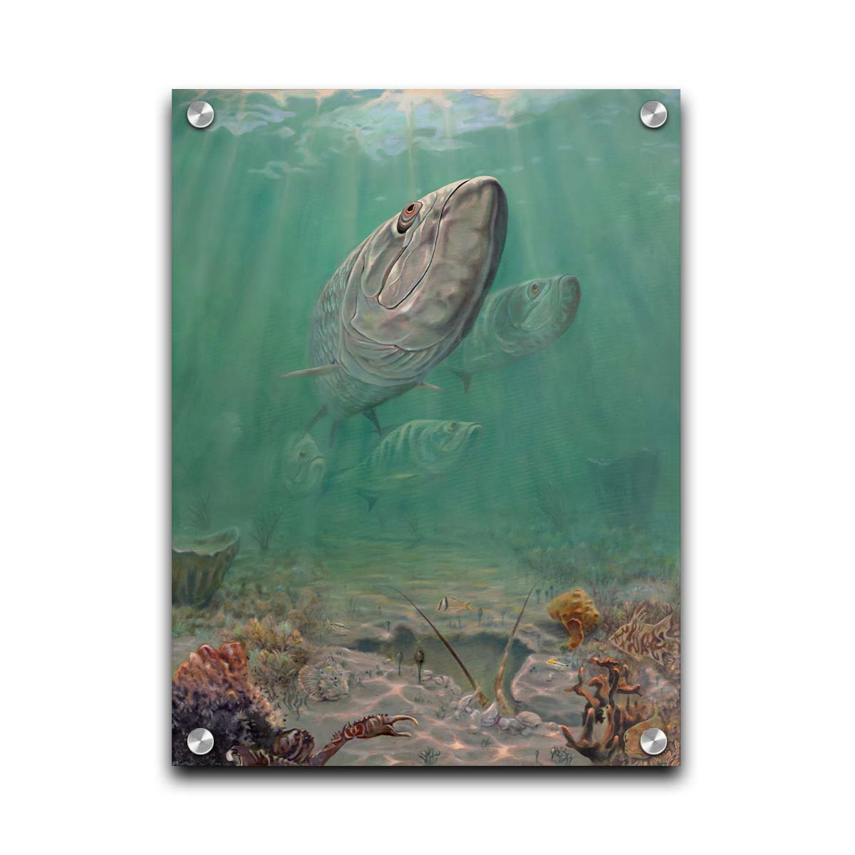 A painting of a school of tarpon swimming above a lively sea floor filled with pufferfish, crabs, lobsters, and rockfish. Beams of light penetrate the water's surface, giving the scene a dreamlike quality. Printed on acrylic.