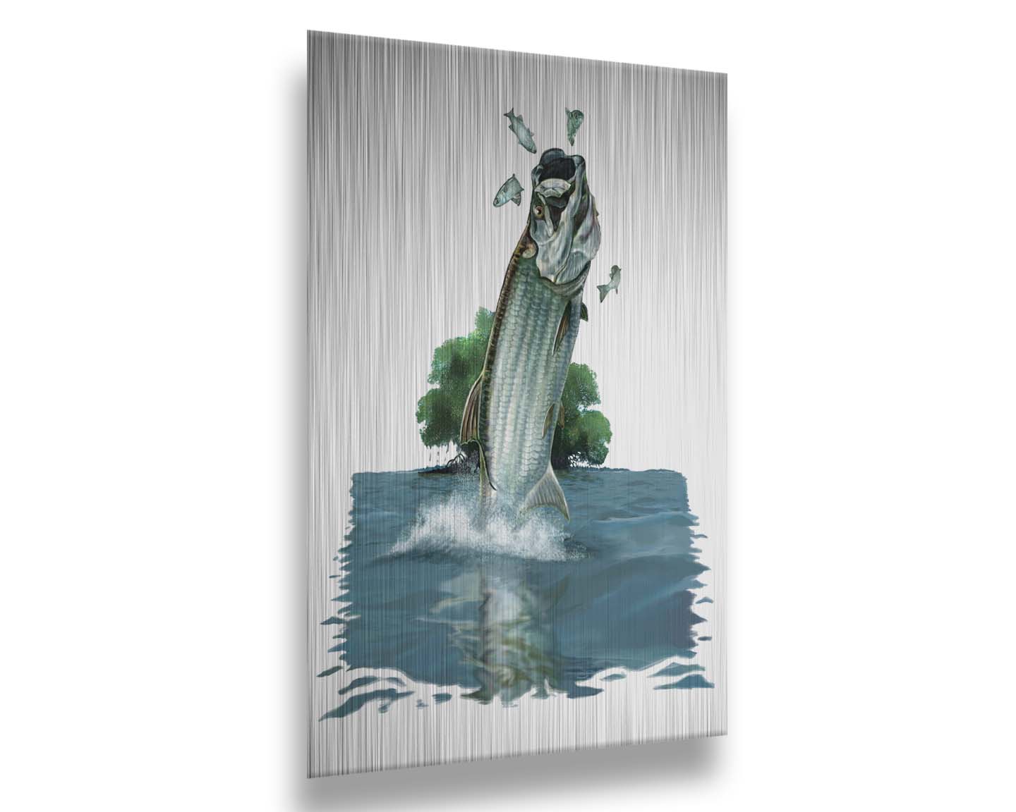 A painting of a tarpon fish leaping out of the water to catch and eat smaller fish. The fish, water's surface, and background tree are isolates against a white backdrop. Printed on metal.