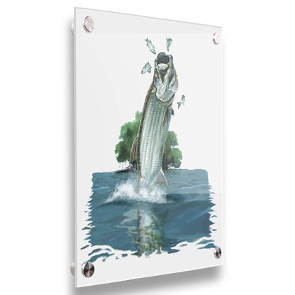 A painting of a tarpon fish leaping out of the water to catch and eat smaller fish. The fish, water's surface, and background tree are isolates against a white backdrop. Printed on acrylic.