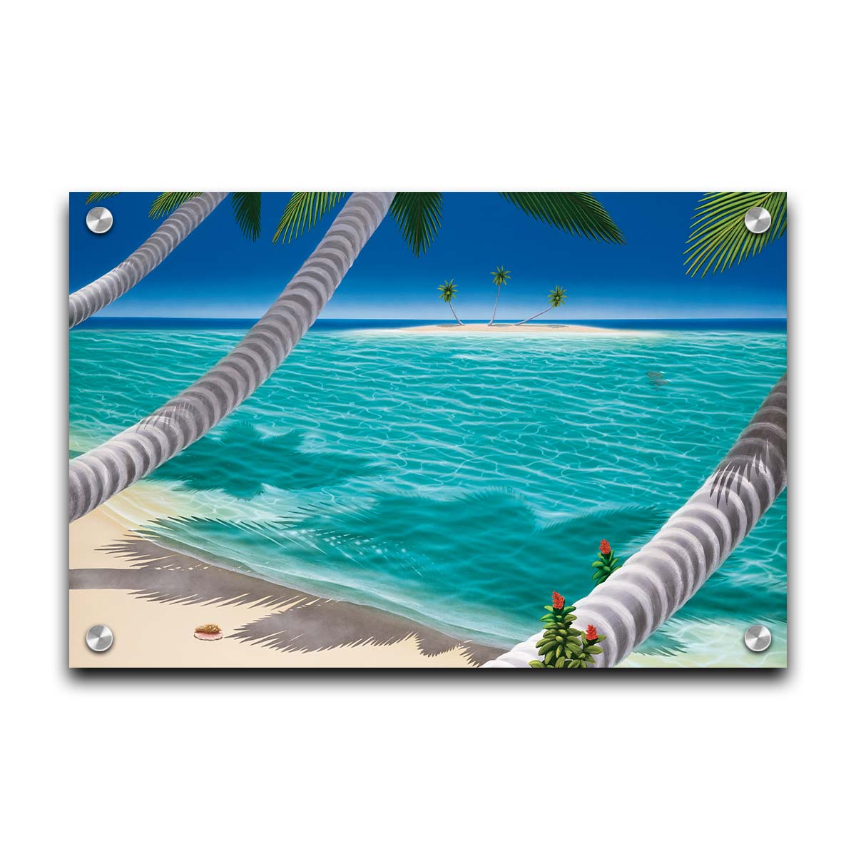 A painting of a white sand beach with growing palm trees and conch shells. Sea turtles swim through the clear blue waters. An island can be seen just across the shallows. Printed on acrylic.