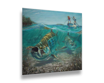 A painting of a school of tarpon in shallow waters chasing a fishing lure, as fisherman in a small boat reel the line behind them. Printed on metal.