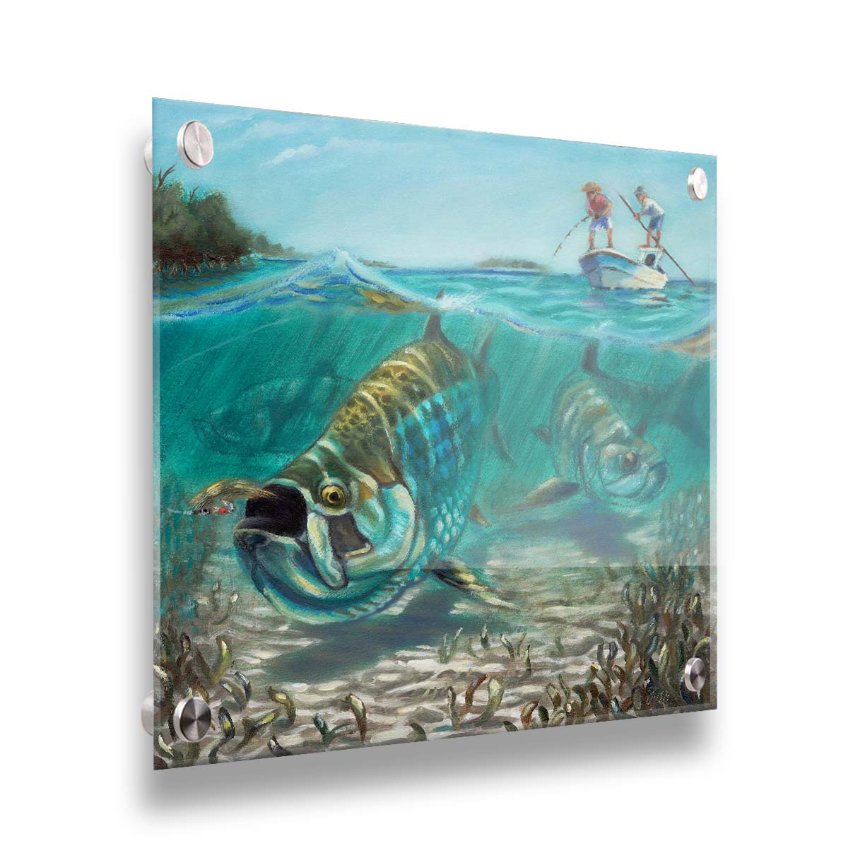 A painting of a school of tarpon in shallow waters chasing a fishing lure, as fisherman in a small boat reel the line behind them. Printed on acrylic.