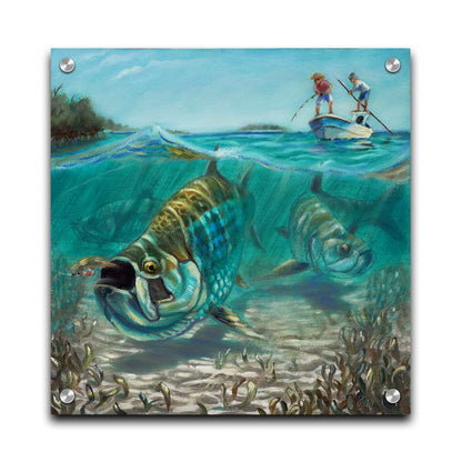 A painting of a school of tarpon in shallow waters chasing a fishing lure, as fisherman in a small boat reel the line behind them. Printed on acrylic.