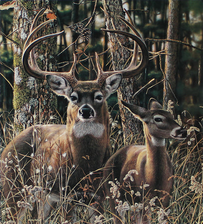 A portrait painting of two deer, a buck and a doe, standing amidst the natural colors of the forest.