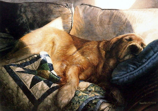 A mixed media artwork in watercolor, colored pencil, and india ink depicting a peaceful golden retriever sleeping soundly on a stack of comfy couch cushions, pillows, and quilts.