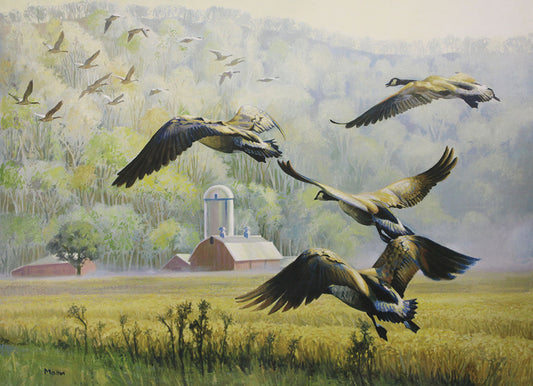 A painting of a flock of Canadian geese taking flight on a misty morning, near a charming farm and lush forest.