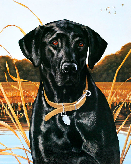 A pet portrait painting of a black Labrador retriever dog sitting by a reedy pond as ducks fly overhead.