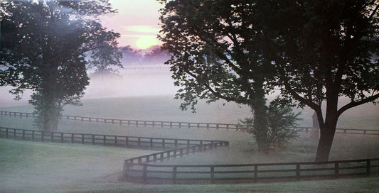 A photograph of the sunset from a foggy hill beside a fence.