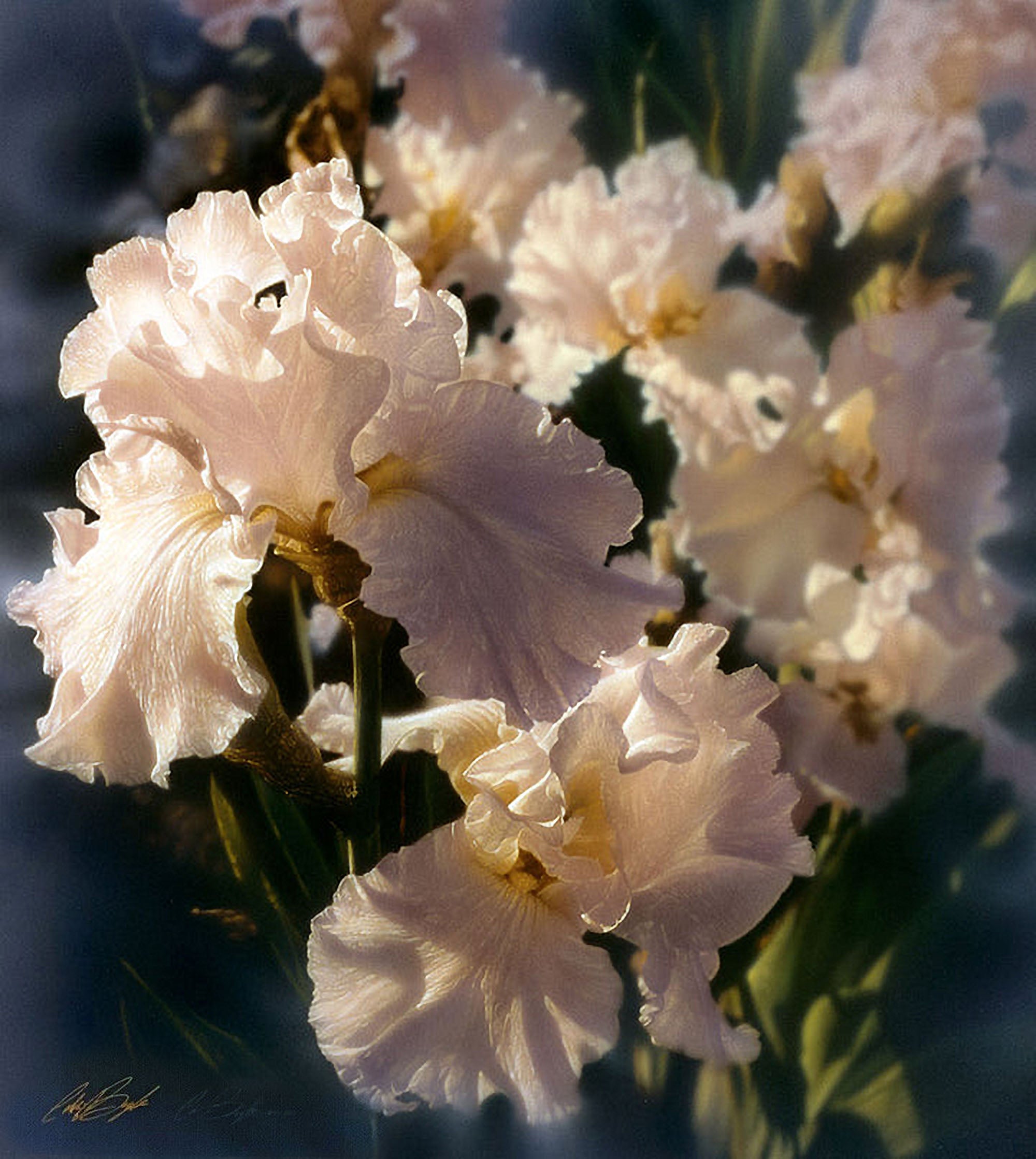 Dragable Image