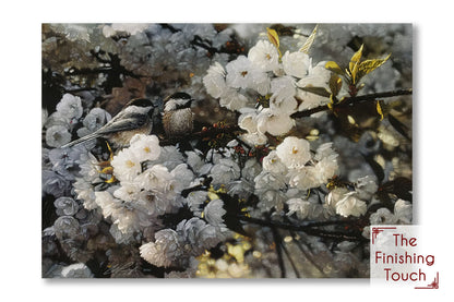 A painting of two black-capped chickadee birds perched on a white blossoming tree branch.