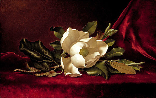 A still life painting of a white magnolia flower with green leaves on a dark red velvet background.