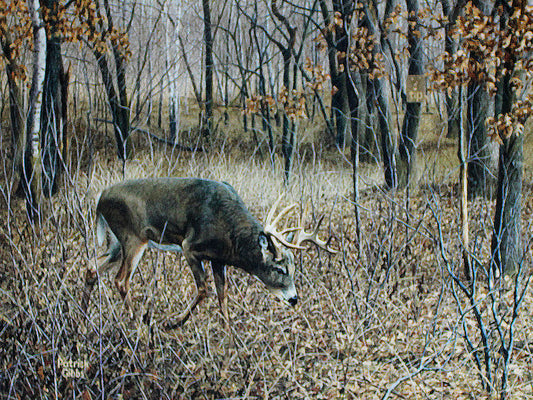 A painting of a deer walking through a forest in fall.