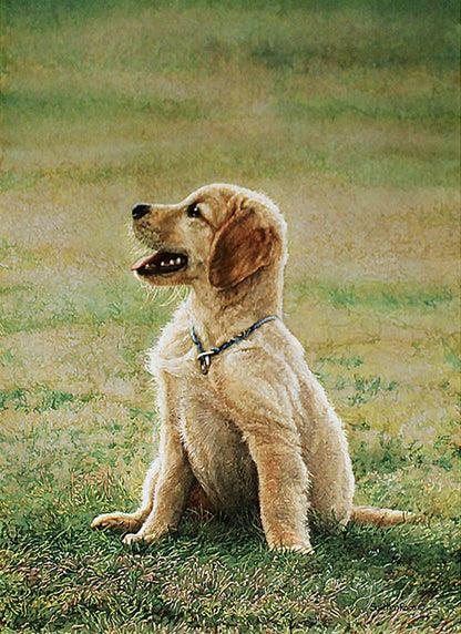 A pet portrait painting of a retriever puppy sitting on a grassy lawn.