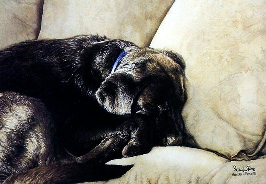 A mixed media painting of a black Labrador retriever sleeping comfortably on a cushiony couch.