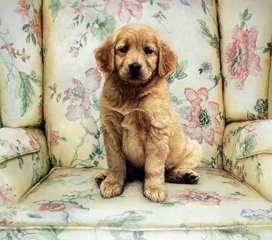 A watercolor and colored pencil pet portrait painting of a blonde retriever puppy dog.