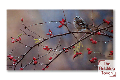 A wildlife painting of a white-crowned sparrow bird perched on a thorny branch of rose hips.