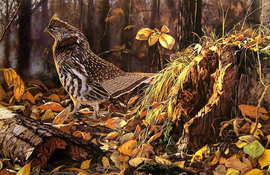 A detailed wildlife painting of a brown and cream striped grouse standing on the forest floor covered with autumn leaves, grass, and tree stumps.