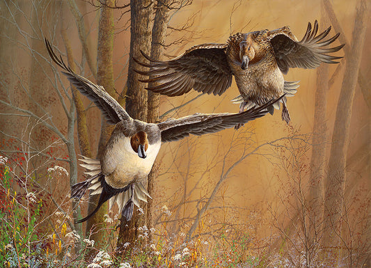 A painting of two pintail ducks flying out of a wooded area.