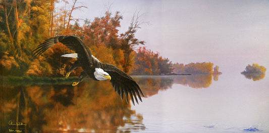 A painting of an autumn scene, where a bald eagle flies low over a mirror of still water.