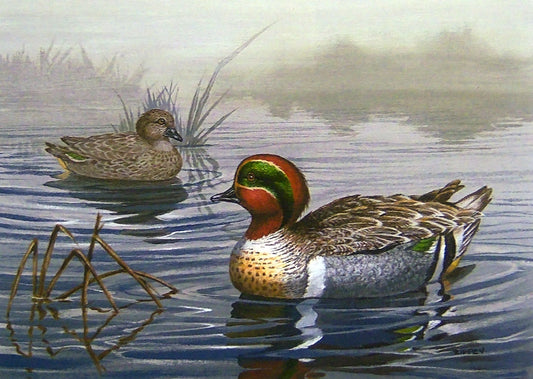 A painting of two green-winged teal ducks floating on the water on a foggy day.
