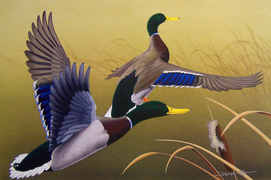 A painting of two mallard ducks taking flight over the reeds.