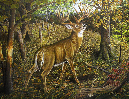 A detailed wildlife painting focused on a deer buck walking through the woods.