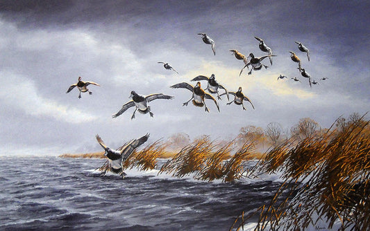 A painting of a flock of greater scaup ducks, also known as bluebills, taking flight over the water on an overcast day.