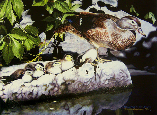 A painting of a mother wood duck perched alongside her ducklings on a rock near the water.