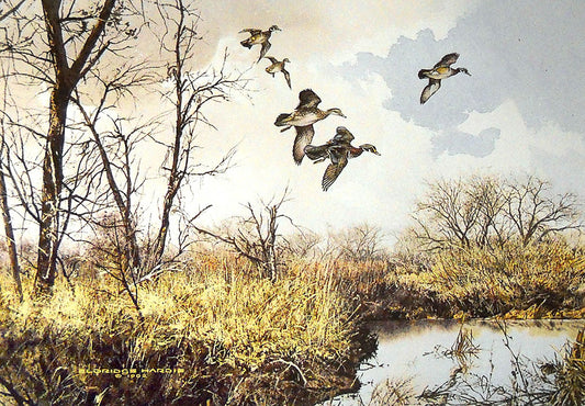 A painting of a flock of wood ducks flying over the water and brush.