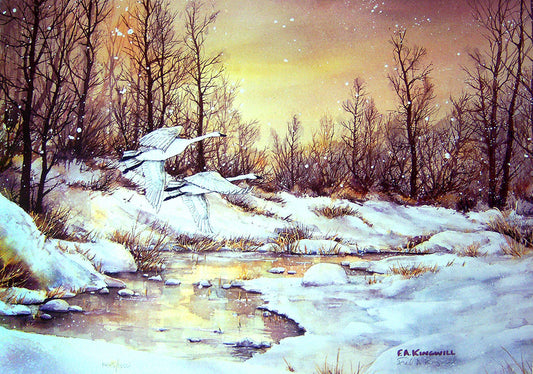 A watercolor painting of a snowy river landscape, with two trumpeter swans flying past.