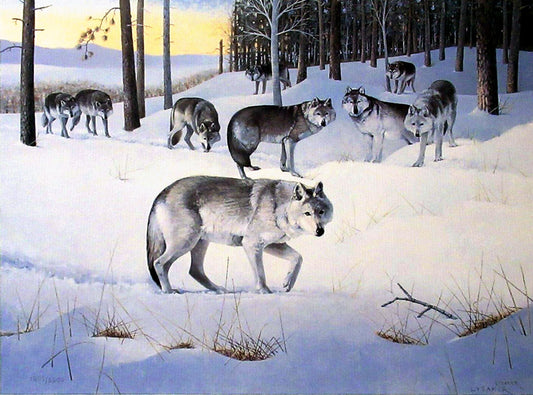 A painting of a pack of wolves walking traveling through a snowy winter forest.