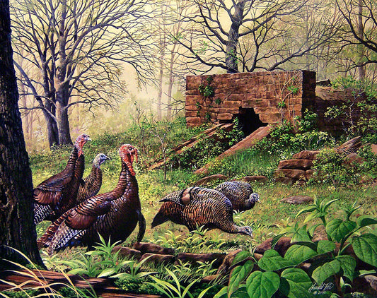 A painting of a flock of turkeys walking through the woods, past an old stone structure being used as a hunting blind.
