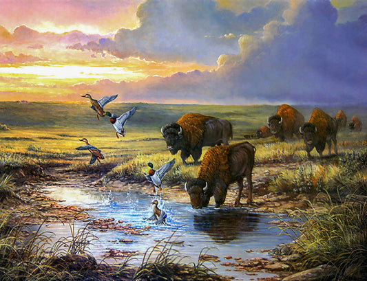 A colorful painting of a herd of bison stopping by a watering hole for a drink during the golden hours.