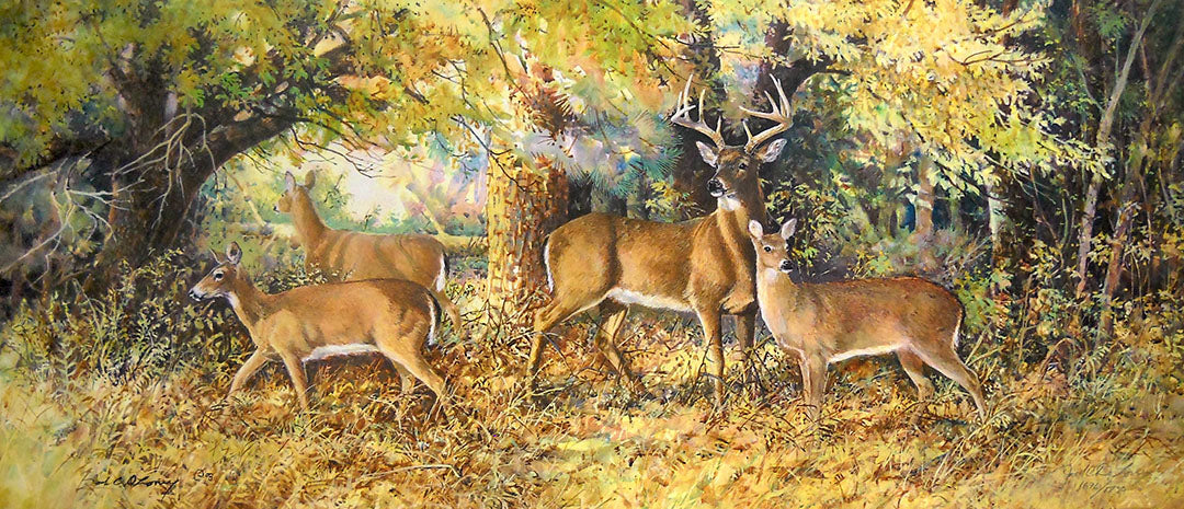 Dragable Image