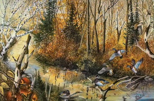 A painting of a flock of wood ducks landing to rest at a stream in a fall forest.