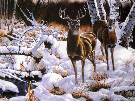 A painting of a wintry birch forest. Two deer approach a stream that stands out in sharp contrast against the snowy surroundings.