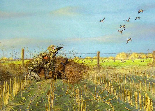 A painting of two hunters and their dog in a stubble field, taking aim at Canada geese flying over decoys.