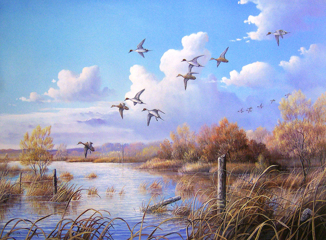 A painting of pintail ducks flying over a marshy, flooded area.