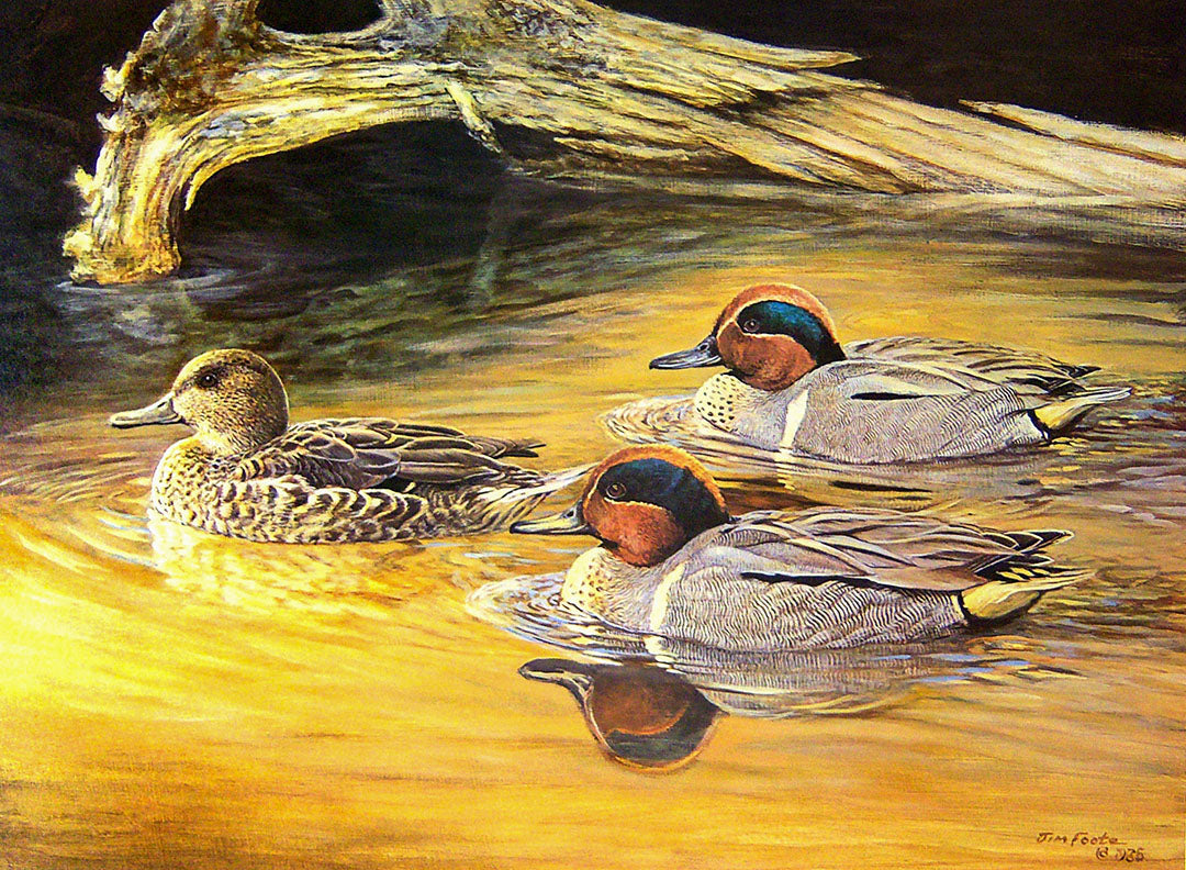 A painting of three green-winged teal ducks swimming through the water.