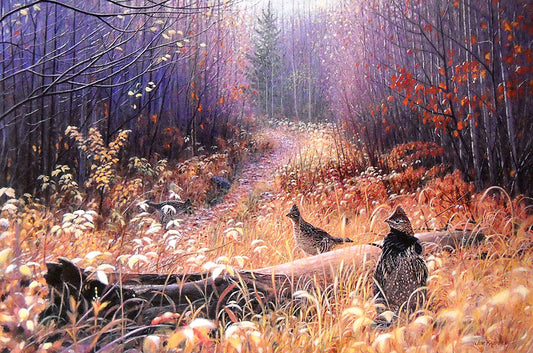 A painting of a fall forest scene, where a group of grouse gather in the grasses along a path through the trees.