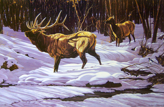 A painting of elk walking along the edge of a stream through the woods, leaving prints in the thick blanket of snow. 