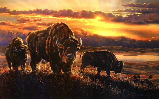 A dramatically lit wildlife painting of a herd of bison in a grassy field at golden hour, with the sun glowing brightly between clouds behind them.