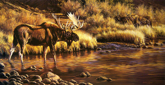 A wildlife painting of a bull moose standing in shallow water by the riverbank, with two more moose in the background among golden grasses.