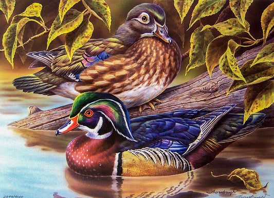 A detailed wildlife painting of two wood ducks. One is perched atop a log, while the other floats on the water.