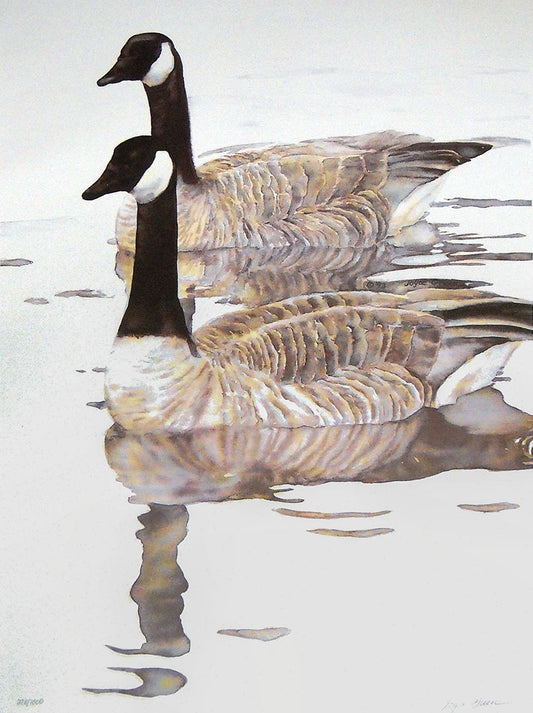 A watercolor painting of two Canada geese swimming on clear, reflective water.