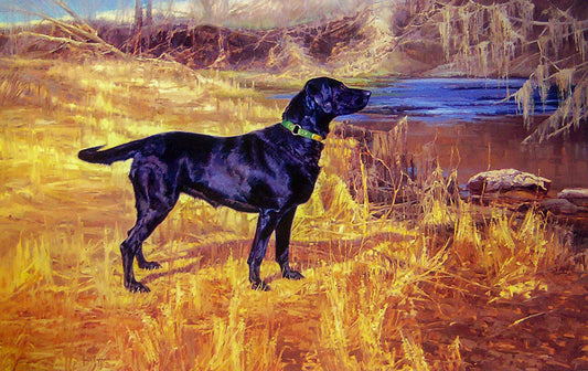 A painting of a black sporting dog standing alert at the bank of a river.
