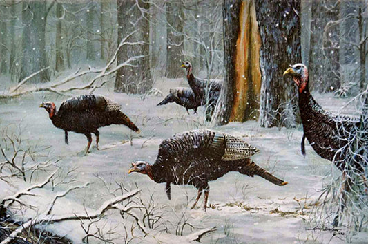 Painting of a flock of turkeys walking through the woods on a snowy day.